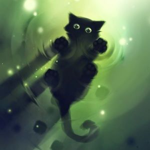 Meet your Posher, Lane